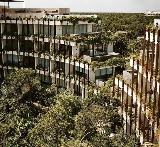 Cozy Aparment Pool View Apartment Tulum